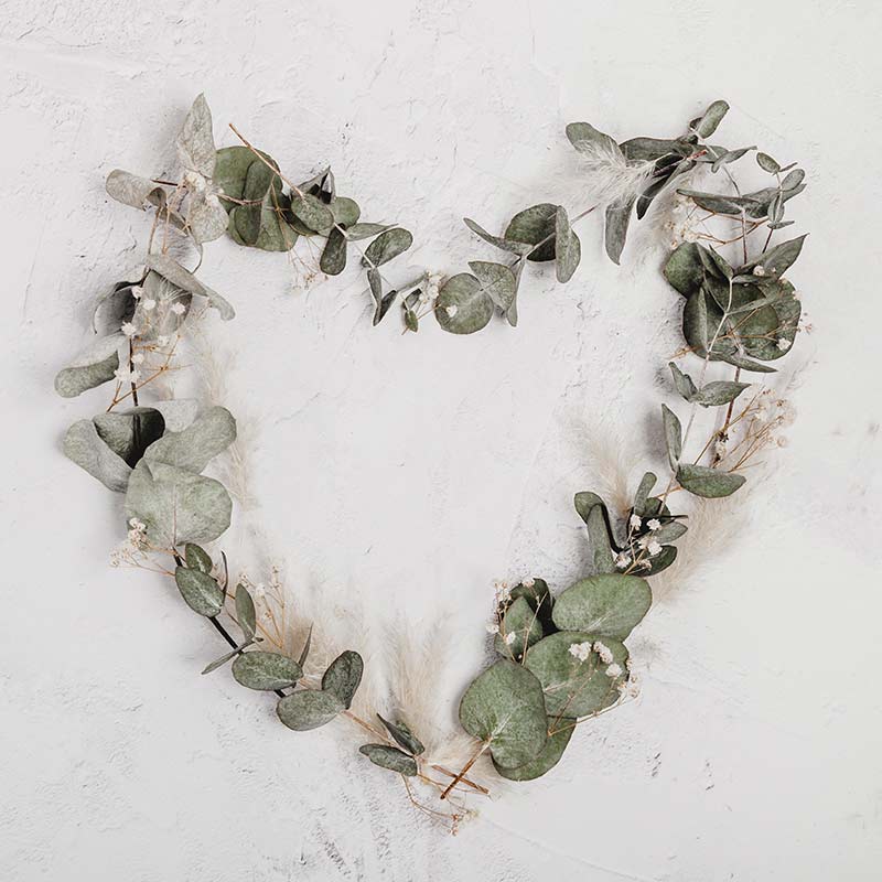heart